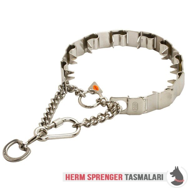 dog master training collars