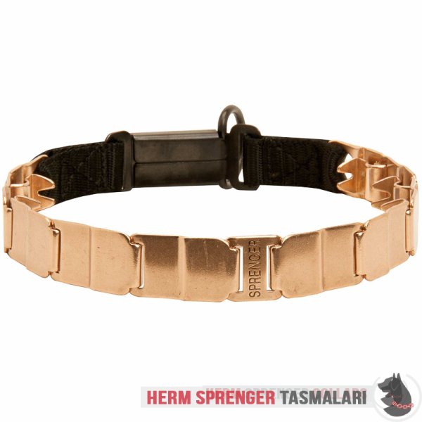 Clicklock Tokalı Curogan "The Golden Boy" Neck Tech SPORT Terbiye Tasması 48 cm
