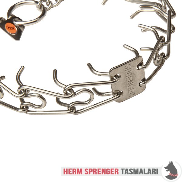 Orta Plakalı ve Etki Zincirli "Training Profy" Paslanmaz Çelik Şok Tasması (2.25 mm x 41 cm)