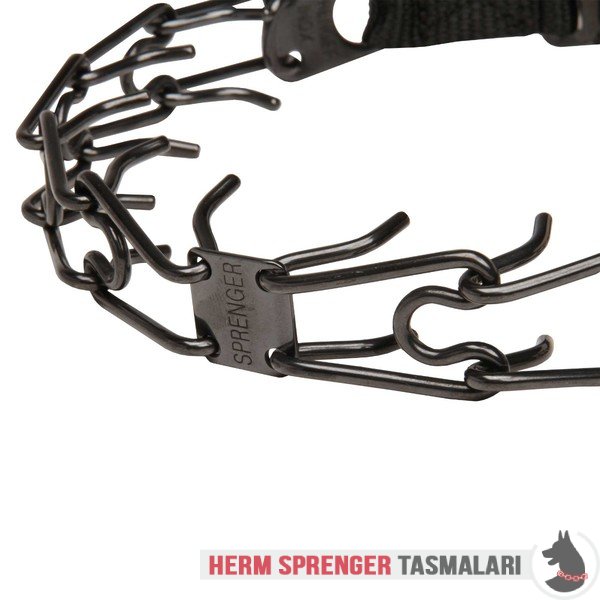 "Daily Trainer" Black Stainless Steel Pinch Collar with Center-Plate and Click-Lock Buckle (3.2 mm x 20 ½ inches)