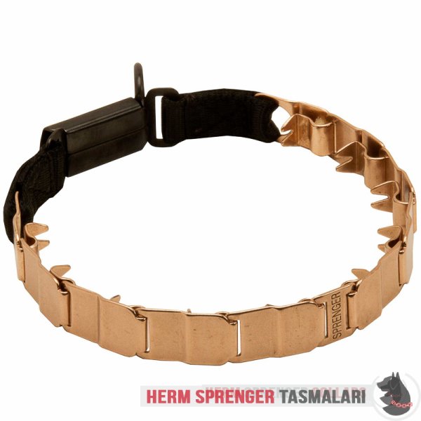 Clicklock Tokalı Curogan "The Golden Boy" Neck Tech SPORT Terbiye Tasması 48 cm