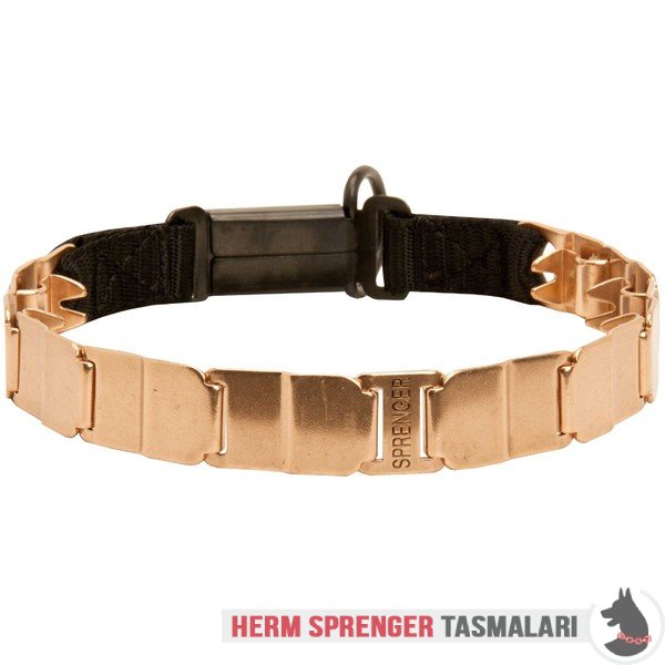 Clicklock Tokalı Curogan "The Golden Boy" Neck Tech SPORT Terbiye Tasması 48 cm