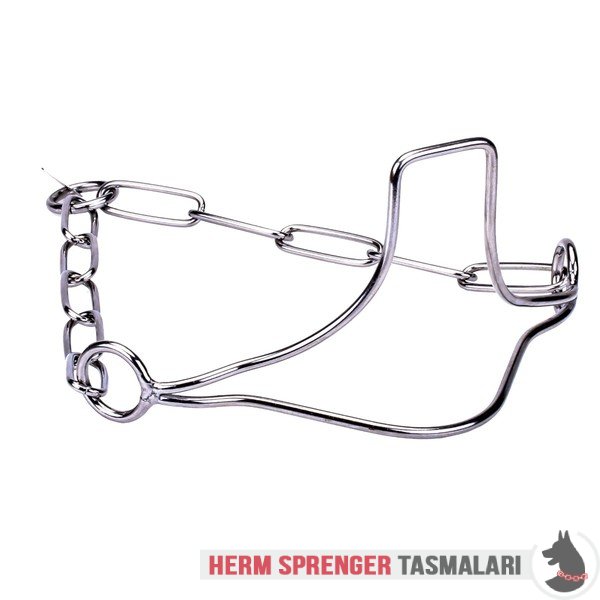 Paslanmaz Çelik "Heads-Up" Özel Çene Bölgeli Köpek Şov Tasması 3 mm