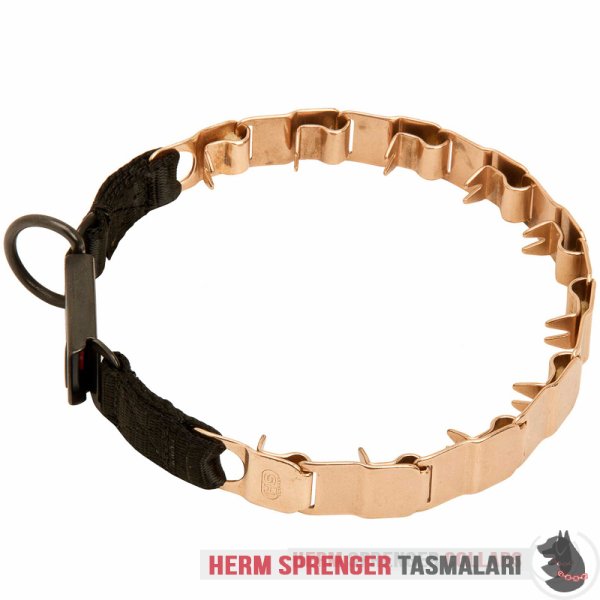 Clicklock Tokalı Curogan "The Golden Boy" Neck Tech SPORT Terbiye Tasması 48 cm