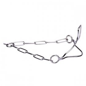 Paslanmaz Çelik "Heads-Up" Özel Çene Bölgeli Köpek Şov Tasması 3 mm