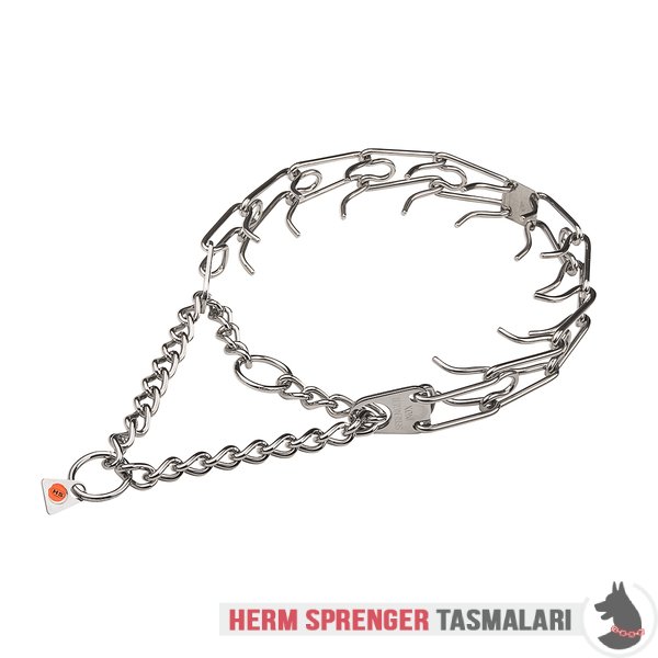 use of prong collars dog training