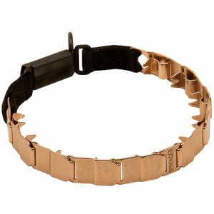 Clicklock Tokalı Curogan "The Golden Boy" Neck Tech SPORT Terbiye Tasması 48 cm