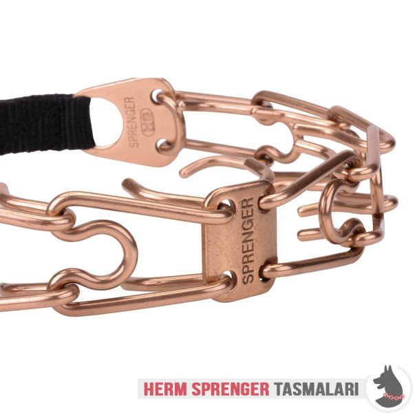 "Aggression Buster" Curogan Pinch Collar with Center-Plate and Click Lock Buckle (4 mm x 23 3/5 inches)