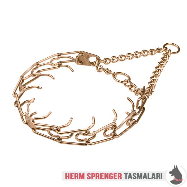 Orta Plakalı ve Etki Zincirli "Aggression Hunter" Curogan Şok Tasması (4 mm x 65 cm)