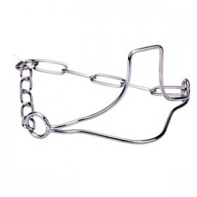 Paslanmaz Çelik "Heads-Up" Özel Çene Bölgeli Köpek Şov Tasması 3 mm