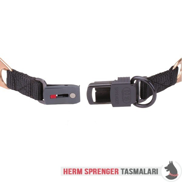 "Aggression Buster" Curogan Pinch Collar with Center-Plate and Click Lock Buckle (4 mm x 23 3/5 inches)