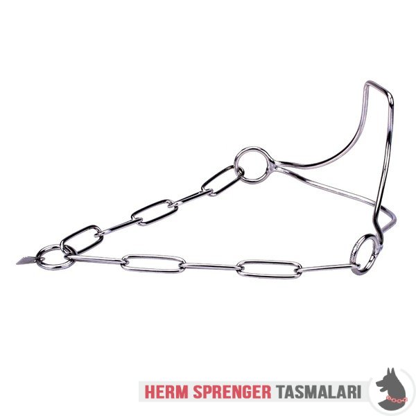 Paslanmaz Çelik "Heads-Up" Özel Çene Bölgeli Köpek Şov Tasması 3 mm