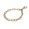 "Positive Influence" Curogan Medium Sized Link Chain Collar - 3.0 mm
