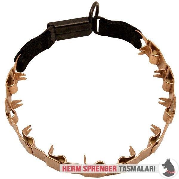Clicklock Tokalı Curogan "The Golden Boy" Neck Tech SPORT Terbiye Tasması 48 cm