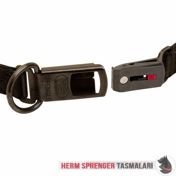 Clicklock Tokalı Curogan "The Golden Boy" Neck Tech SPORT Terbiye Tasması 48 cm