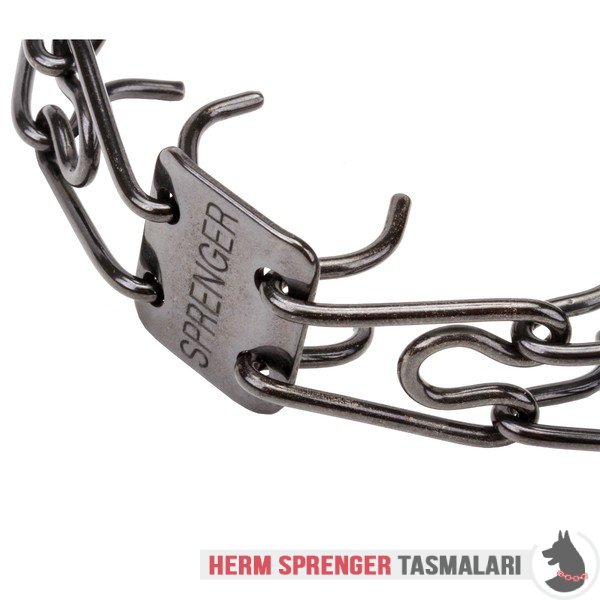 Naylon Kombinli ve Click-Lock Tokalı "Good Doggy Kit" Siyah Paslanmaz Çelik Şok Tasması (2.25 mm x 40 cm)