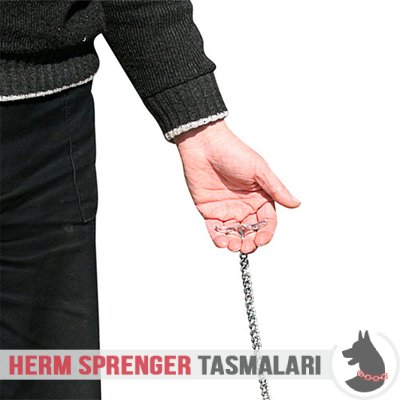 "Taming Force" Chrome Plated Short Link Chain Collar with Flat Chain and Toggle - 3.0 mm