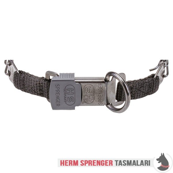 Naylon Kombinli ve Click-Lock Tokalı "Good Doggy Kit" Siyah Paslanmaz Çelik Şok Tasması (2.25 mm x 40 cm)