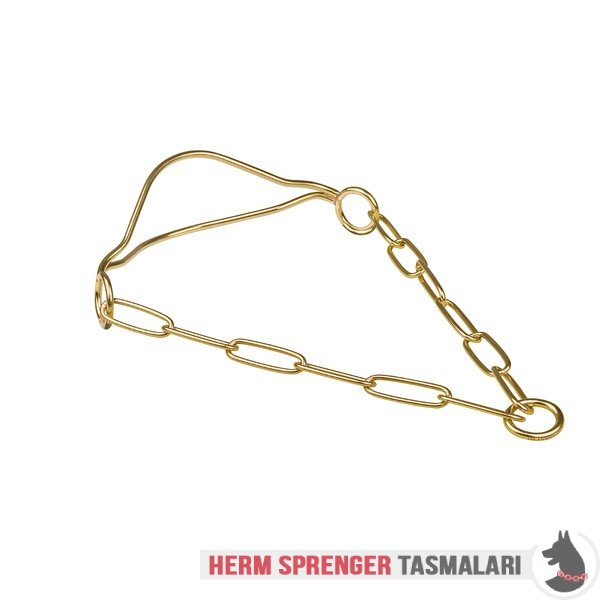 Pirinç "Shining Victory" Özel Çene Bölgeli Köpek Şov Tasması 3 mm