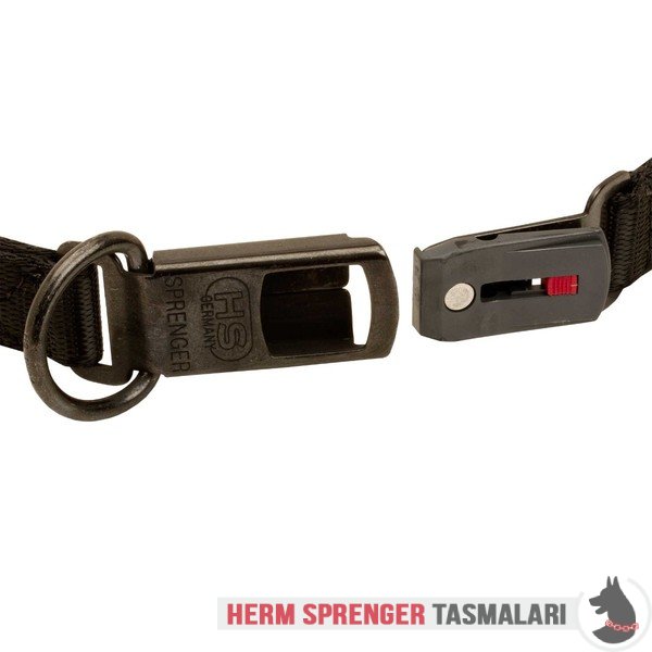 Clicklock Tokalı Curogan "The Golden Boy" Neck Tech SPORT Terbiye Tasması 48 cm