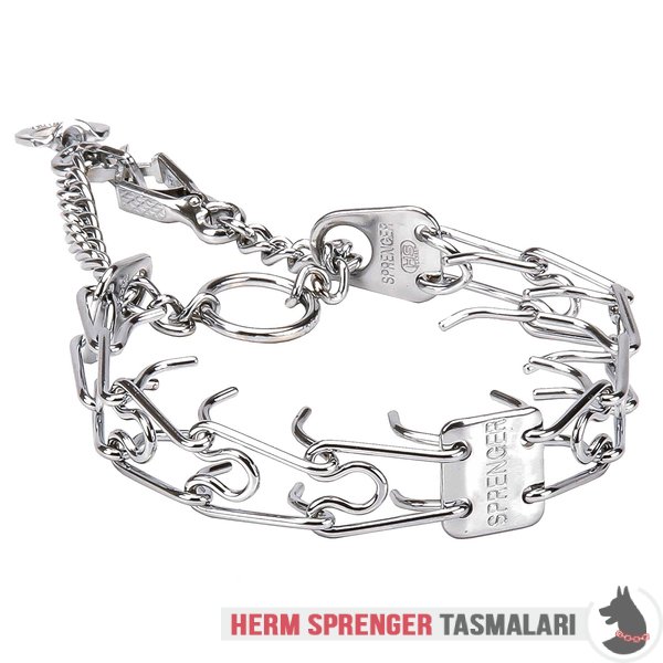 Döner Halkalı ve Hızlı Açılabilen Kancalı "Issues Killer" Krom Çelik Şok Tasması (2.25 mm x 41 cm)