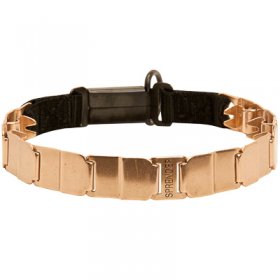 Clicklock Tokalı Curogan "The Golden Boy" Neck Tech SPORT Terbiye Tasması 48 cm