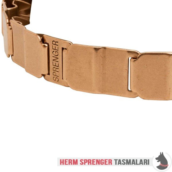 Clicklock Tokalı Curogan "The Golden Boy" Neck Tech SPORT Terbiye Tasması 48 cm