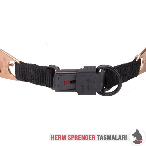 "Aggression Buster" Curogan Pinch Collar with Center-Plate and Click Lock Buckle (4 mm x 23 3/5 inches)
