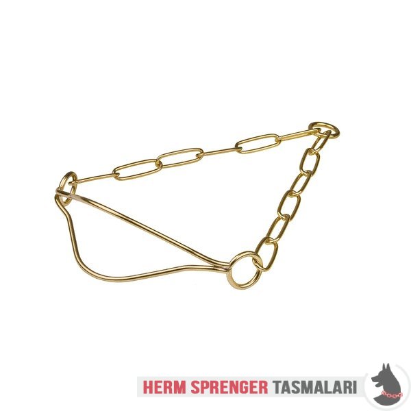 Pirinç "Shining Victory" Özel Çene Bölgeli Köpek Şov Tasması 3 mm