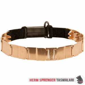 Clicklock Tokalı Curogan "The Golden Boy" Neck Tech SPORT Terbiye Tasması 48 cm
