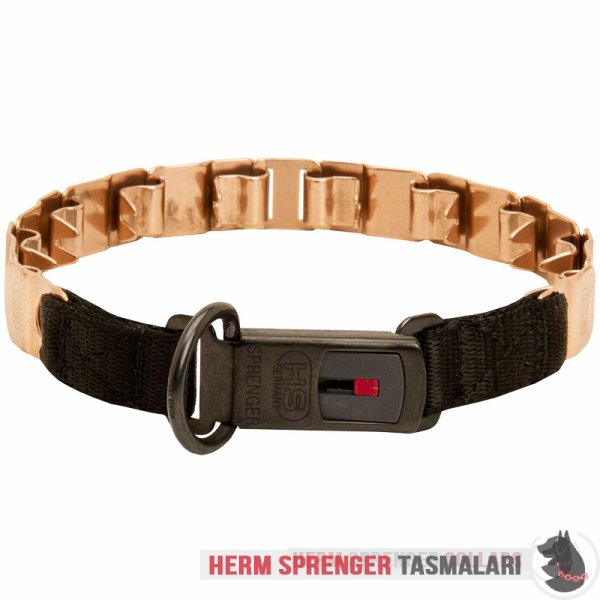 Clicklock Tokalı Curogan "The Golden Boy" Neck Tech SPORT Terbiye Tasması 48 cm