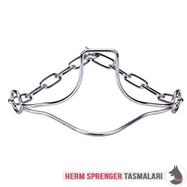 Paslanmaz Çelik "Heads-Up" Özel Çene Bölgeli Köpek Şov Tasması 3 mm