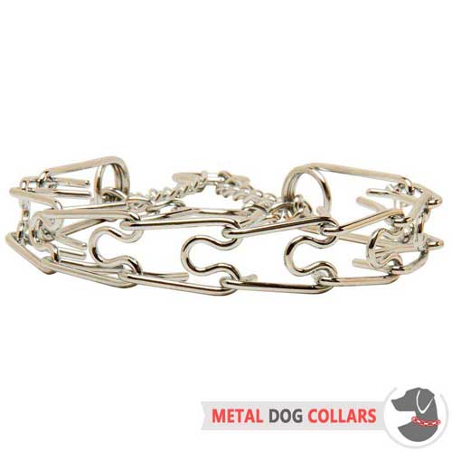 Pinch dog collar with chrome plating
